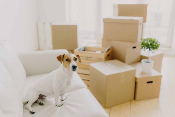 Comment intégrer un espace bien-être et spa chez soi ?