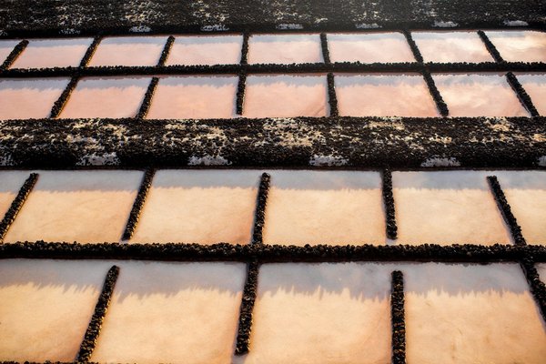 Entretien piscine au sel : guide pratique pour une eau saine